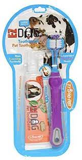 Pet Dental Kit